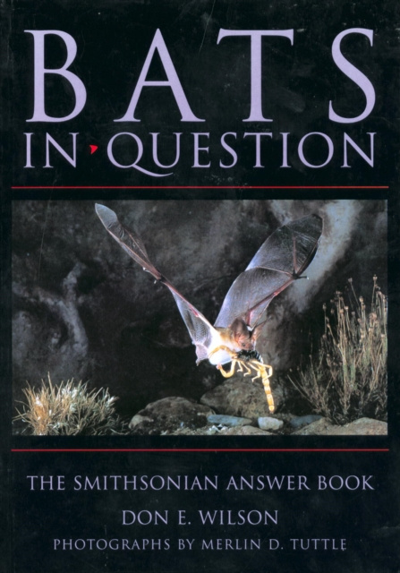 E-kniha Bats in Question Don E. Wilson