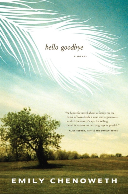 E-knjiga Hello Goodbye Emily Chenoweth