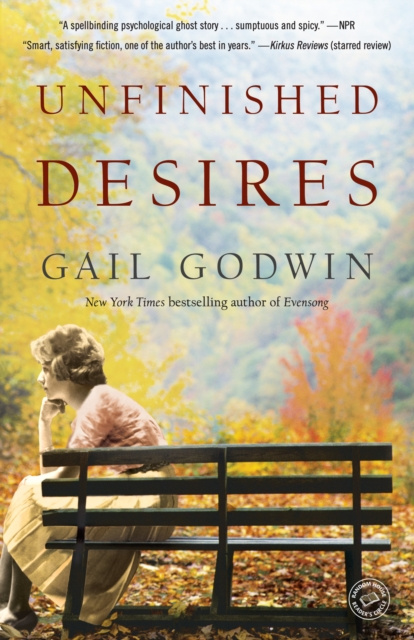 E-kniha Unfinished Desires Gail Godwin