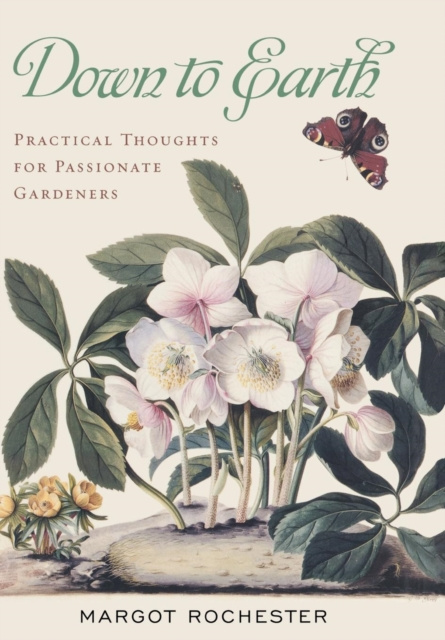 E-book Down to Earth Margot Rochester