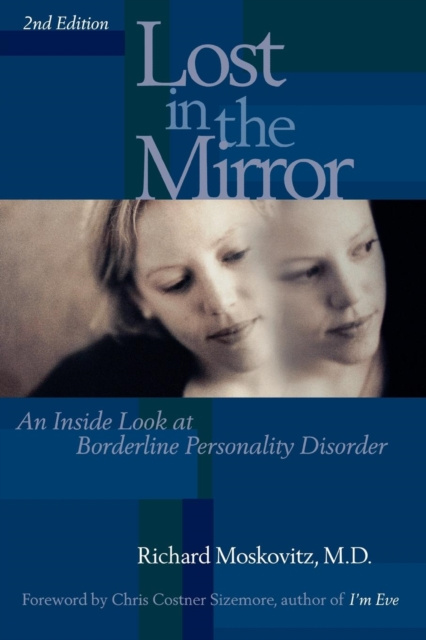 E-knjiga Lost in the Mirror Richard A. Moskovitz