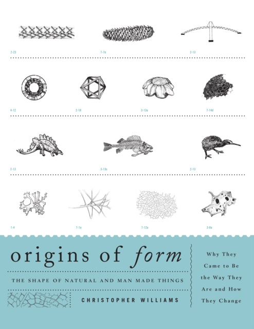 E-book Origins of Form Christopher Williams