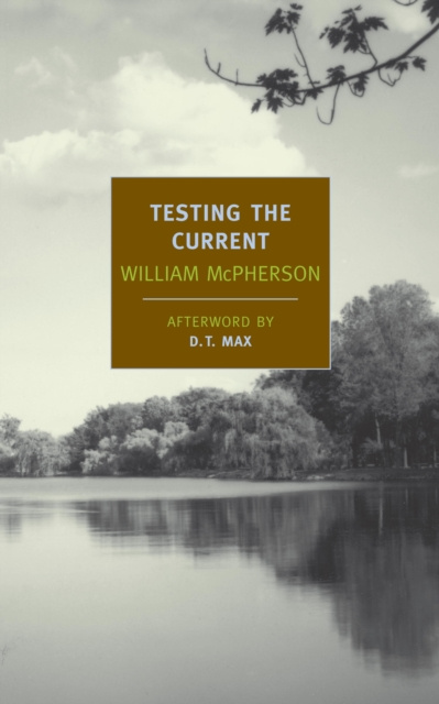 E-knjiga Testing the Current William McPherson