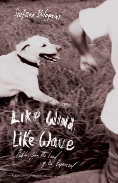 E-book Like Wind, Like Wave Stefano Bolognini