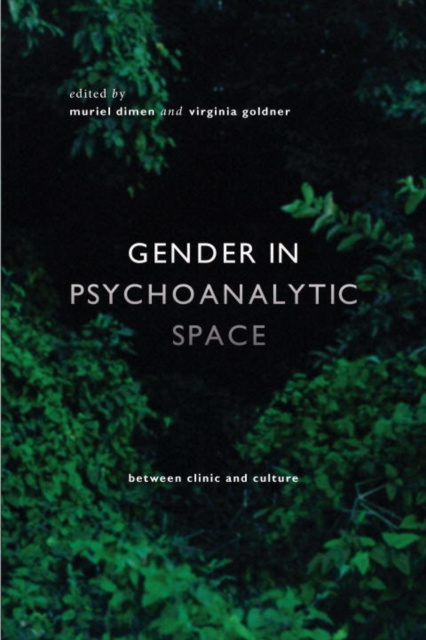 E-book Gender in Psychoanalytic Space Muriel Dimen