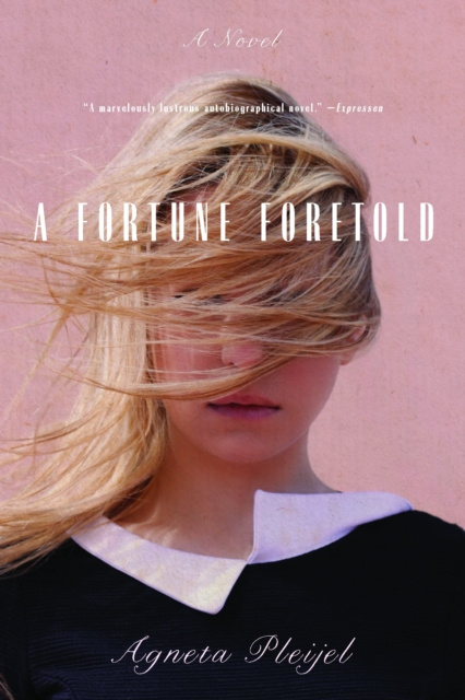 E-book Fortune Foretold Agneta Pleijel