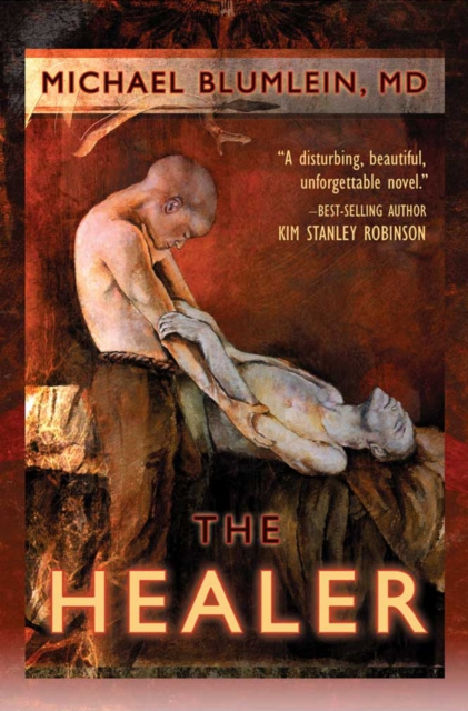 E-book Healer Michael Blumlein