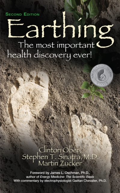 E-book Earthing (2nd Edition) Clinton Ober