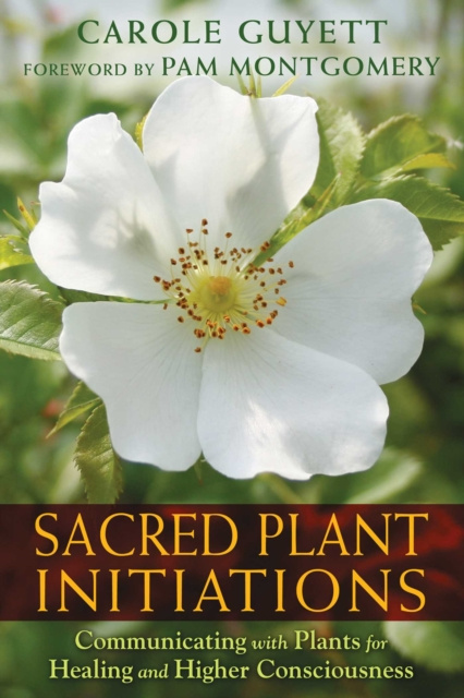 E-kniha Sacred Plant Initiations Carole Guyett