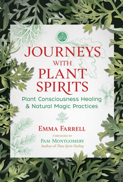 E-kniha Journeys with Plant Spirits Emma Farrell