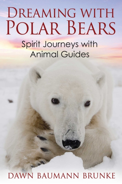 E-kniha Dreaming with Polar Bears Dawn Baumann Brunke