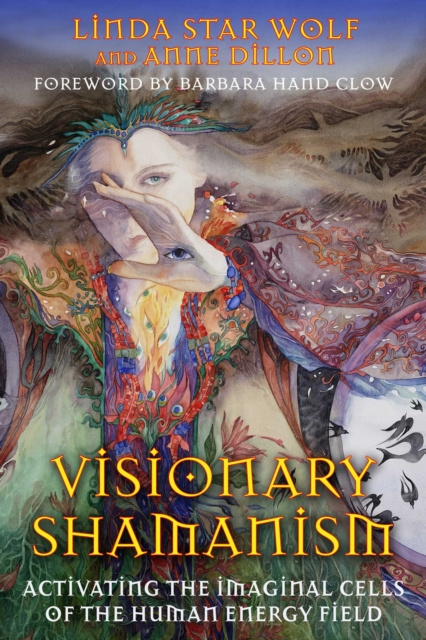 E-kniha Visionary Shamanism Linda Star Wolf
