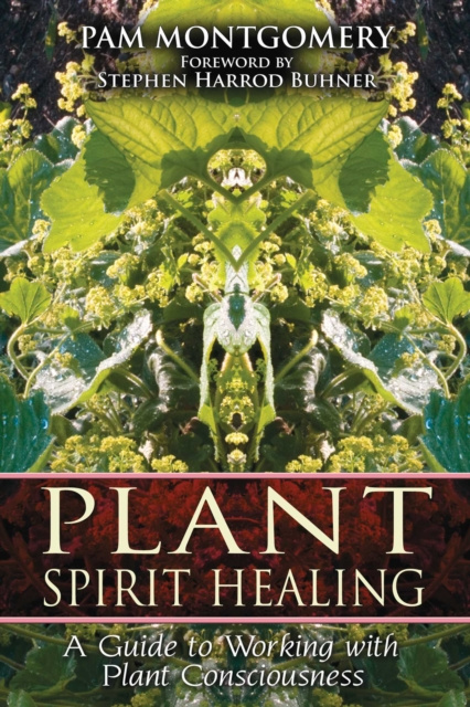 E-kniha Plant Spirit Healing Pam Montgomery