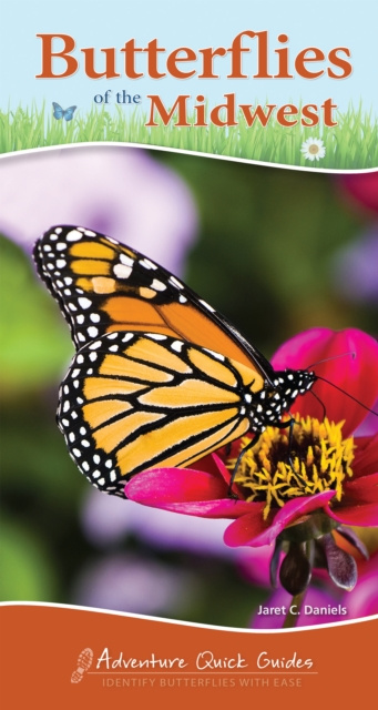 E-knjiga Butterflies of the Midwest Jaret C. Daniels
