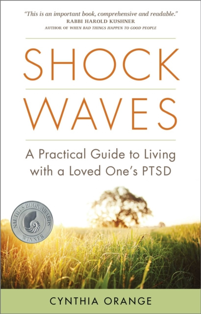 E-knjiga Shock Waves Cynthia Orange