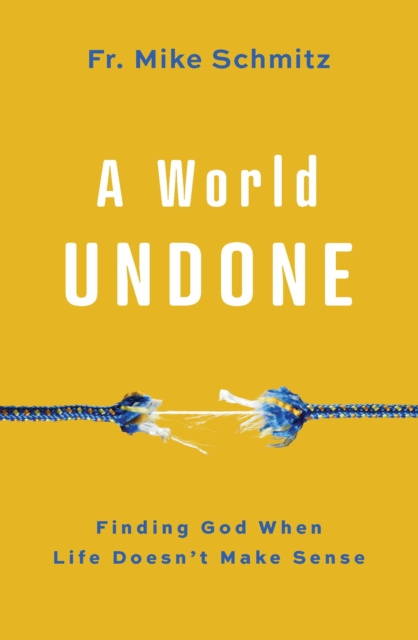 E-book World Undone Fr. Mike Schmitz