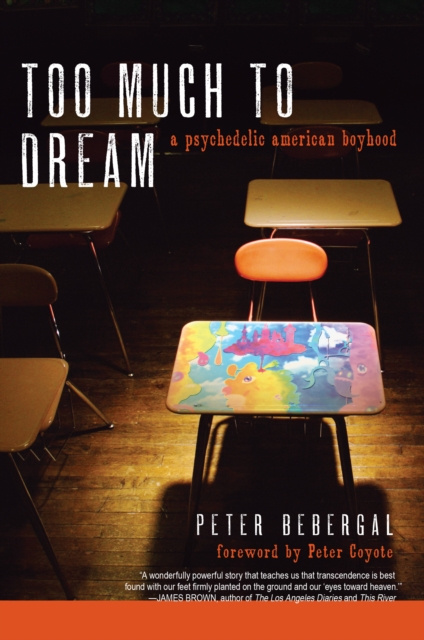 E-knjiga Too Much to Dream Peter Bebergal