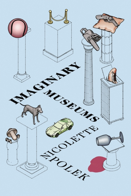 E-knjiga Imaginary Museums Nicolette Polek