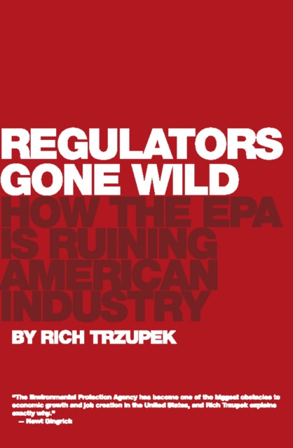 E-book Regulators Gone Wild Rich Trzupek