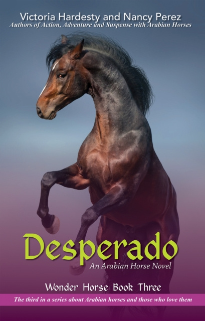 E-knjiga Desperado Victoria Hardesty