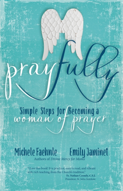 E-knjiga Pray Fully Michele Faehnle