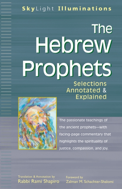 E-knjiga Hebrew Prophets Rami M. Shapiro
