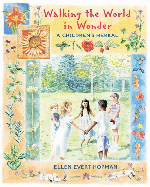 E-kniha Walking the World in Wonder Ellen Evert Hopman