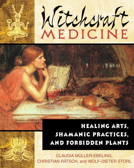 E-book Witchcraft Medicine Claudia Muller-Ebeling