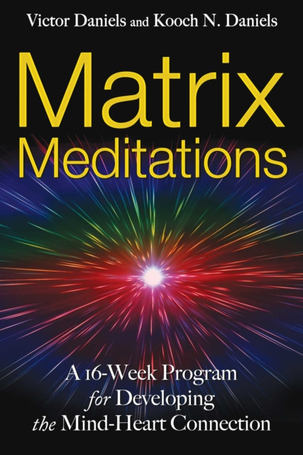 E-kniha Matrix Meditations Victor Daniels