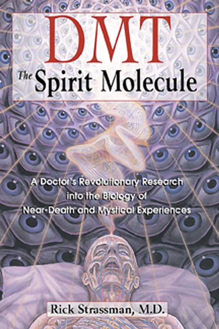 E-kniha DMT: The Spirit Molecule Rick Strassman