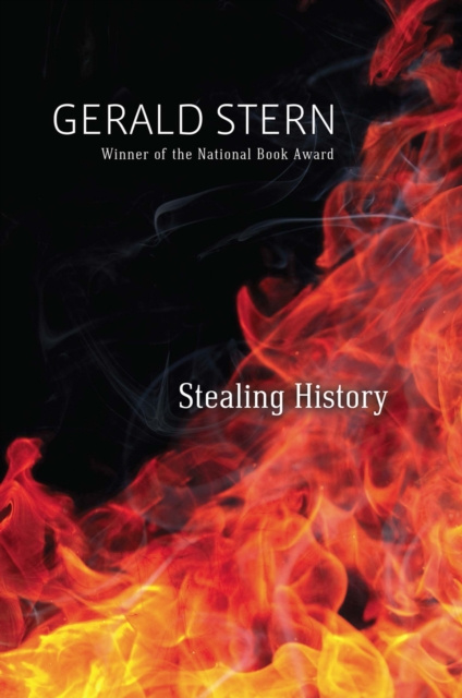 E-Book Stealing History Gerald Stern