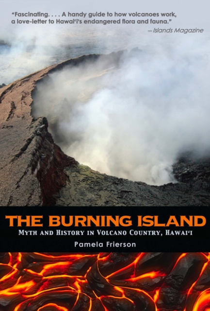 E-knjiga Burning Island Pamela Frierson