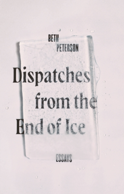 E-Book Dispatches from the End of Ice Beth Peterson