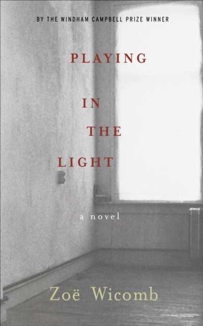 E-book Playing in the Light Zoe Wicomb