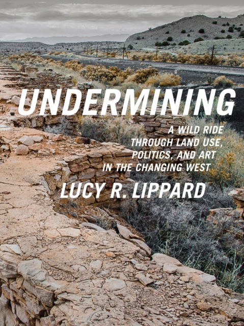 E-book Undermining Lucy R. Lippard