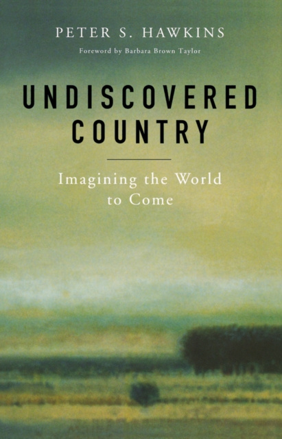 E-knjiga Undiscovered Country Peter S. Hawkins