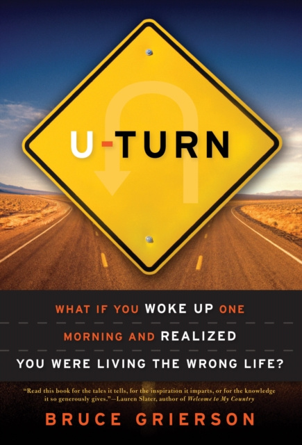 E-Book U-Turn Grierson Bruce Grierson