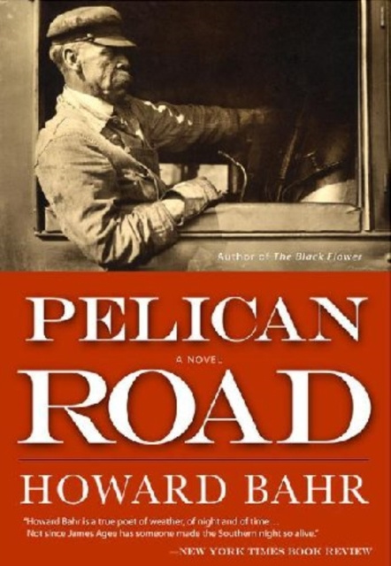 E-knjiga Pelican Road Howard Bahr