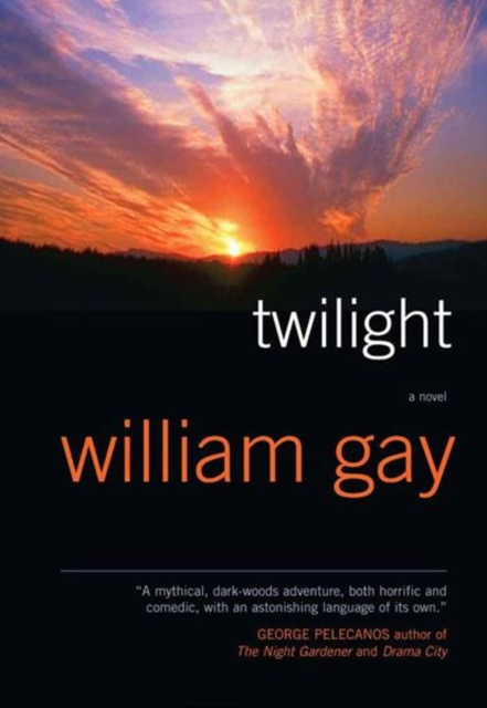 E-book Twilight William Gay