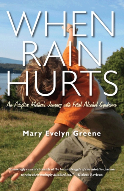 E-knjiga When Rain Hurts Mary Evelyn Greene