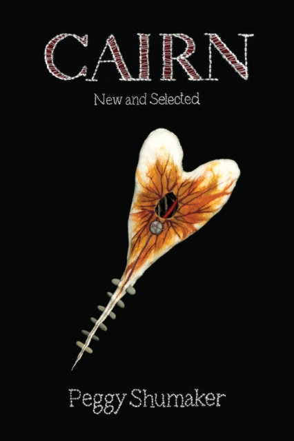 E-book Cairn Peggy Shumaker