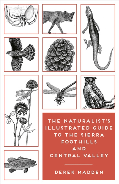 E-kniha Naturalist's Illustrated Guide to the Sierra Foothills and Central Valley Derek Madden