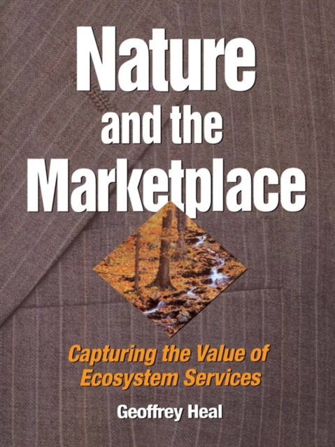 E-knjiga Nature and the Marketplace Heal Geoffrey Heal