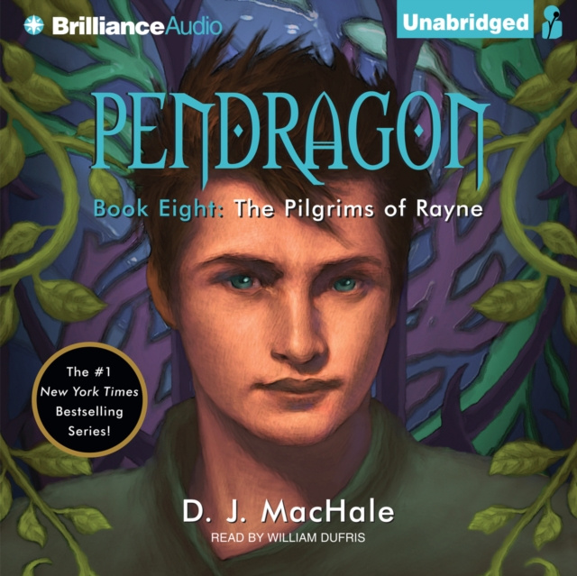 Audiobook Pilgrims of Rayne D. J. MacHale