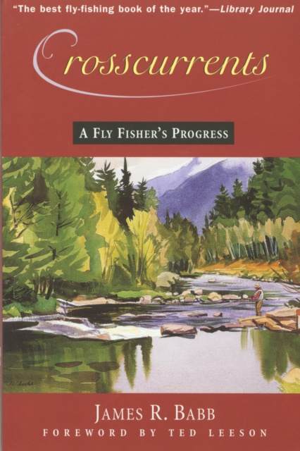 E-book Crosscurrents James R. Babb