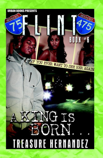 E-knjiga Flint Book 6 Treasure Hernandez