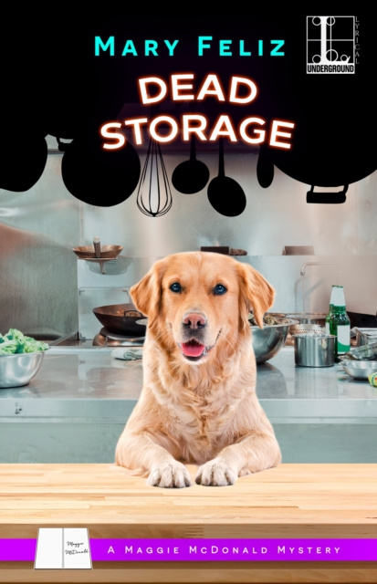 E-kniha Dead Storage Mary Feliz