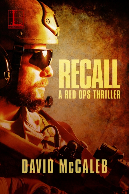 E-Book Recall David McCaleb