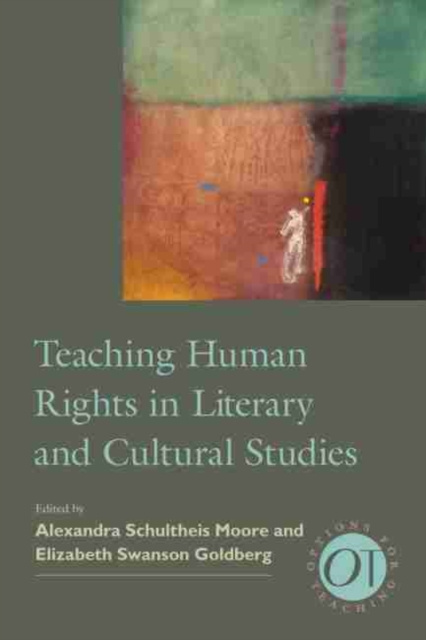 E-kniha Teaching Human Rights in Literary and Cultural Studies Alexandra Schultheis Moore