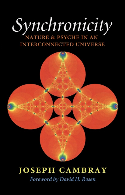 E-book Synchronicity Joseph Cambray